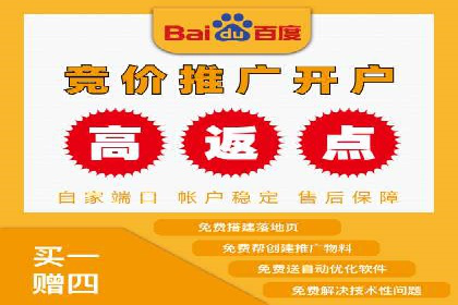 百度推广价格策略：成功案例分享